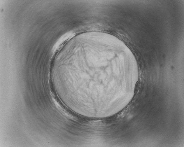 X0000054450054200508270049