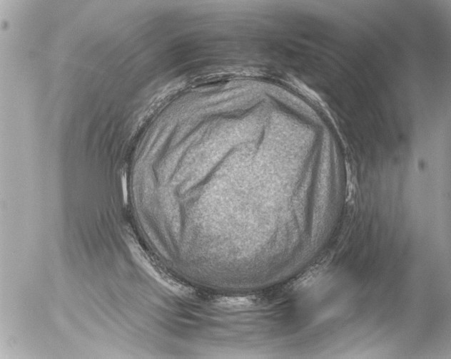 X0000054450061200508270049