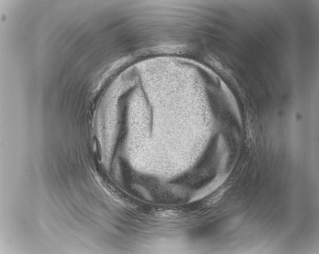 X0000054450062200508270049