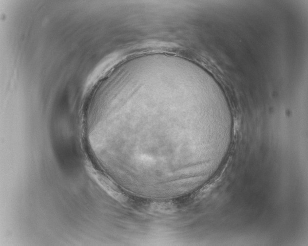 X0000054450101200508270049