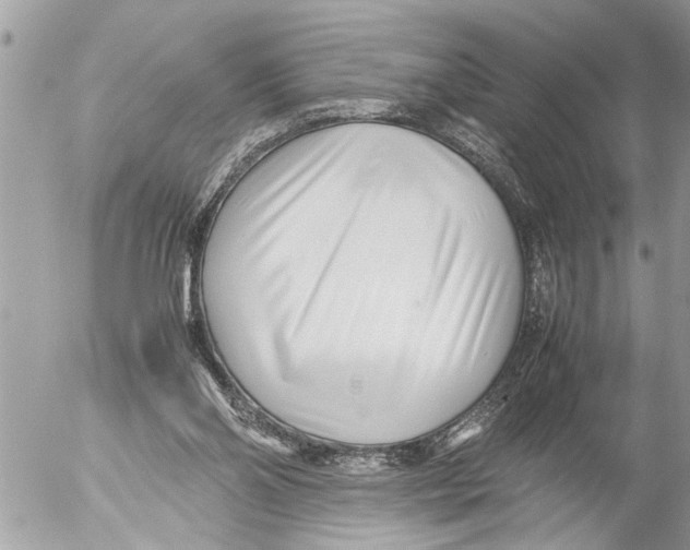 X0000054450110200508270049