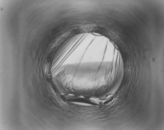 X0000054450139200508270048
