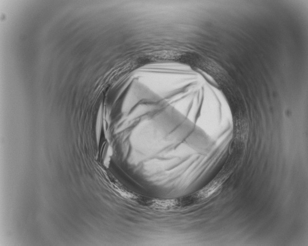 X0000054450143200508270048