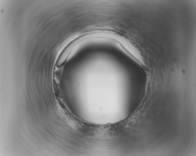 X0000054450148200508270047
