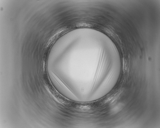 X0000054450157200508270047