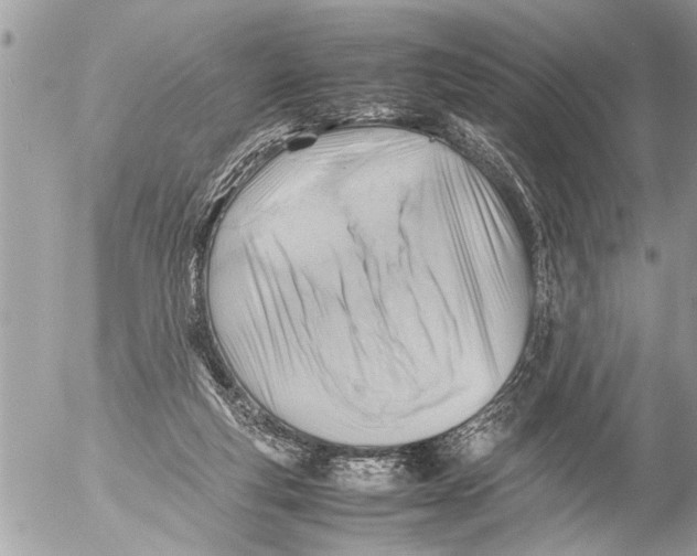 X0000054450163200508270047