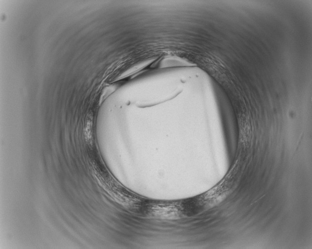 X0000054450175200508270048