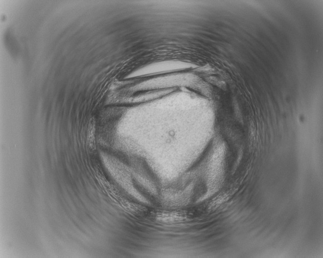 X0000054450177200508270048