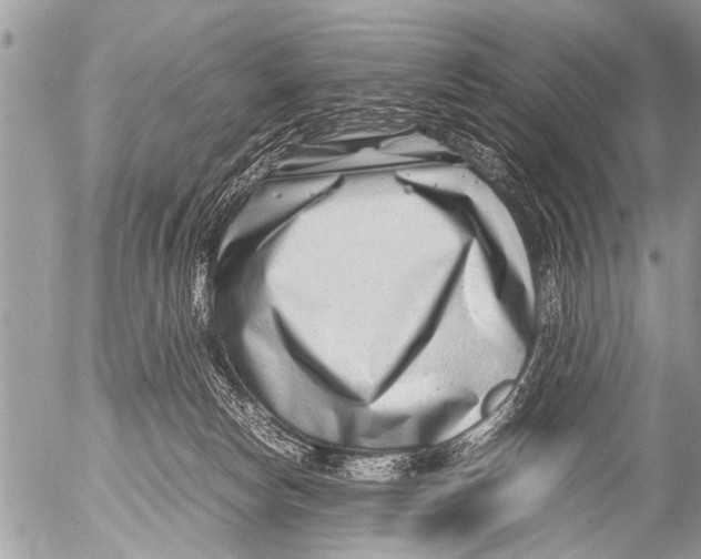 X0000054450178200508270048