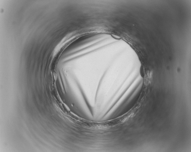 X0000054450198200508270047