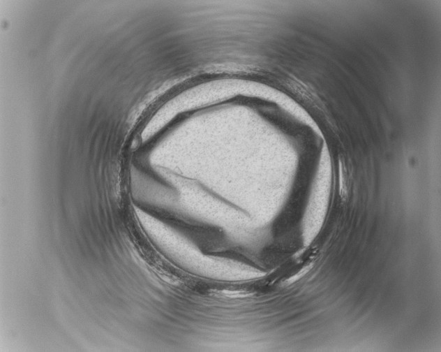 X0000054450204200508270047