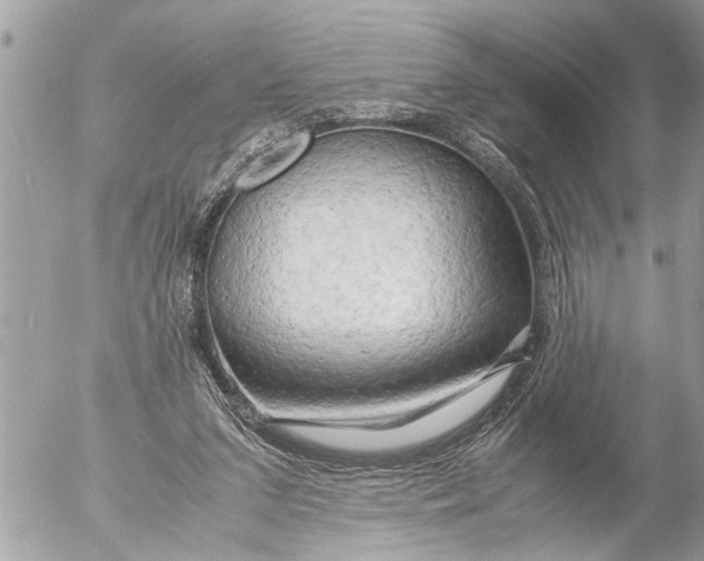 X0000054450207200508270047