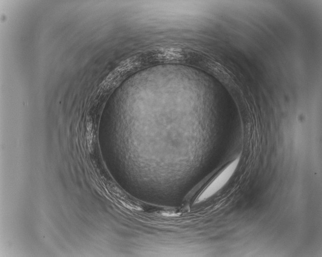 X0000054450223200508270047