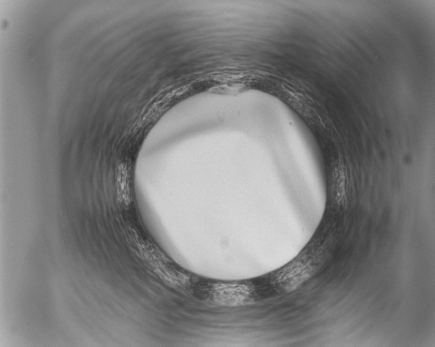 X0000054450234200508270047