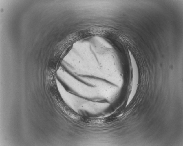 X0000054450237200508270046