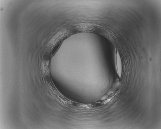 X0000054450239200508270046