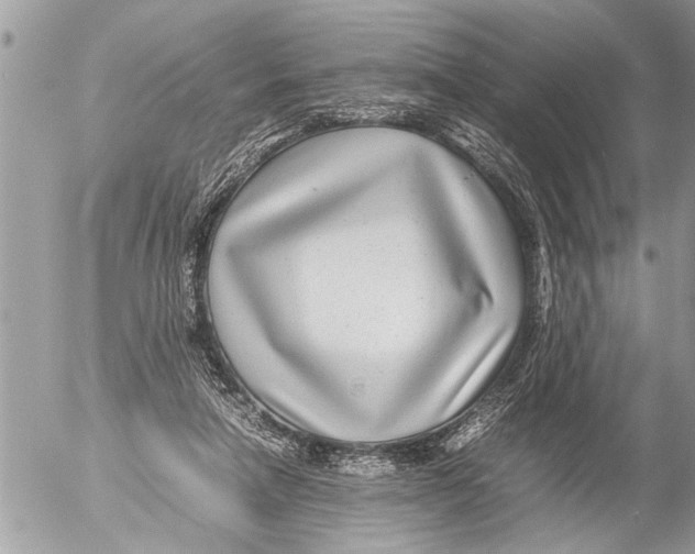 X0000054450258200508270046