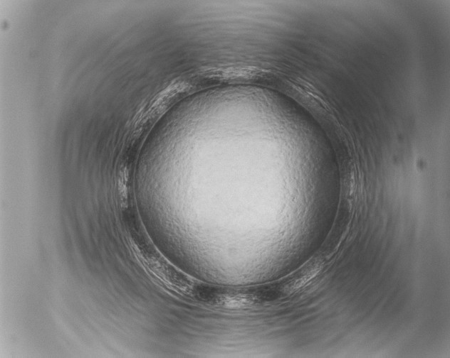 X0000054450264200508270046