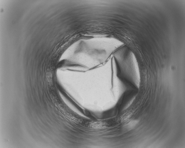 X0000054450269200508270046