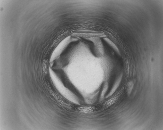 X0000054450273200508270046
