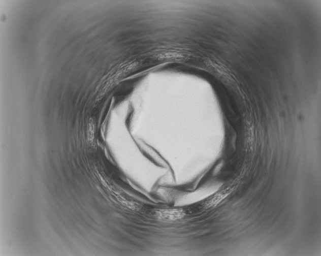 X0000054450281200508270046