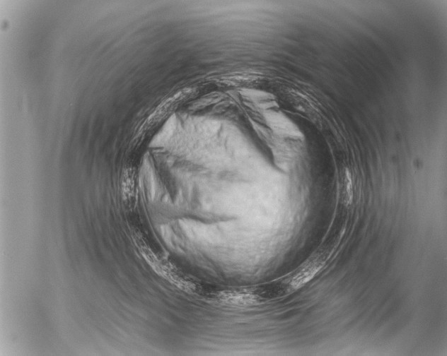 X0000054450284200508270046