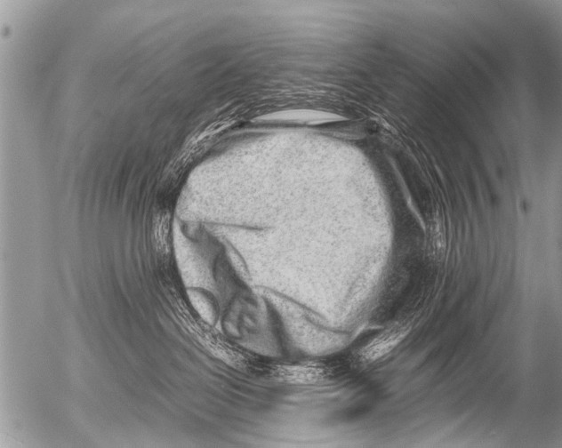 X0000054450286200508270046