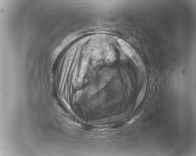 X0000054450295200508270046