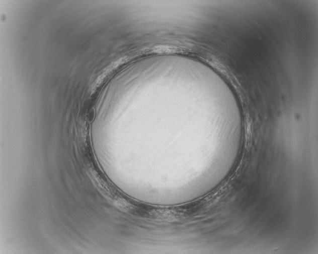 X0000054450297200508270045
