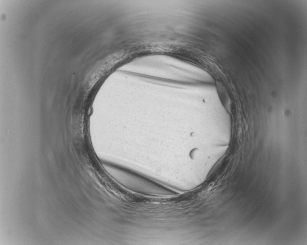 X0000054450299200508270045