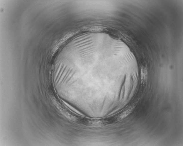 X0000054450301200508270045