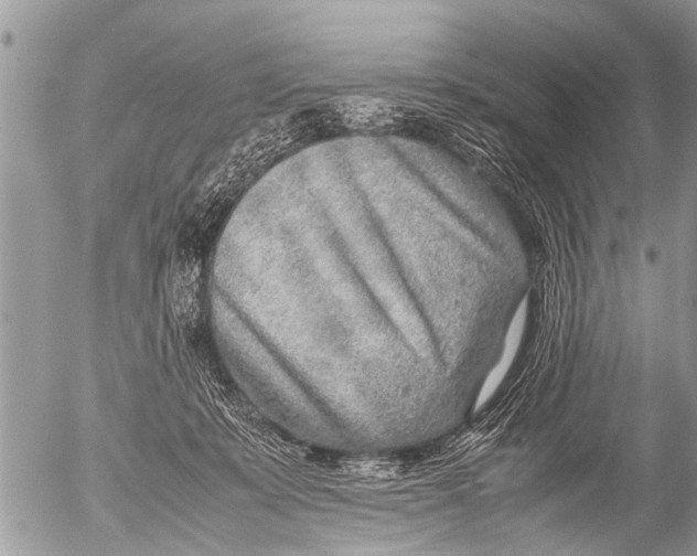 X0000054450319200508270045