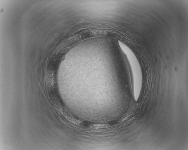 X0000054450323200508270045