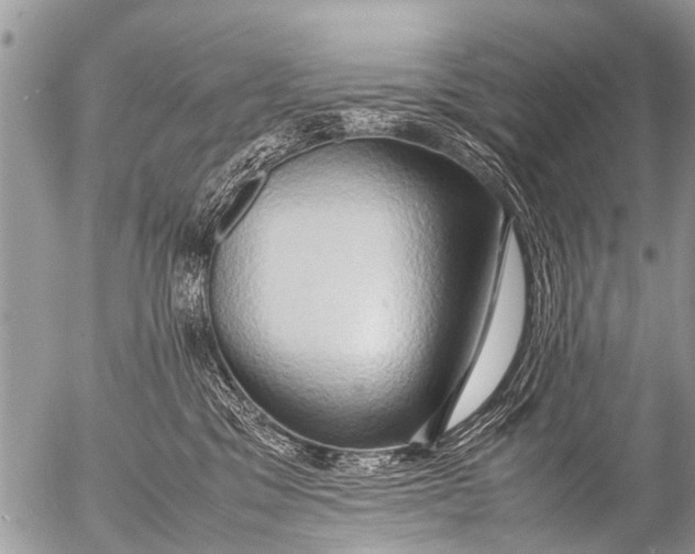 X0000054450329200508270045