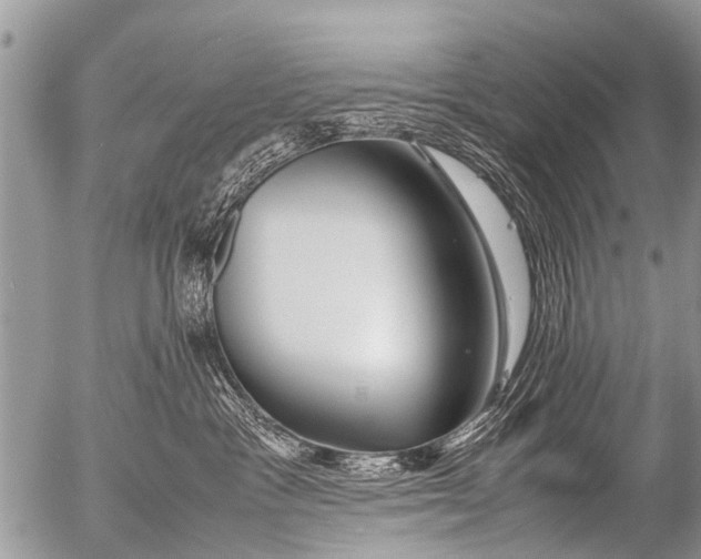 X0000054450333200508270045
