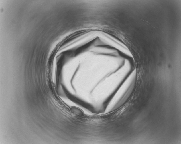 X0000054450342200508270044