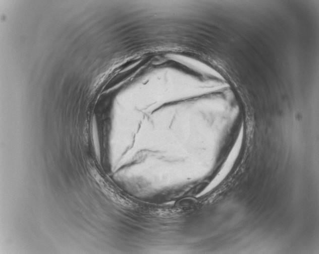 X0000054450345200508270044