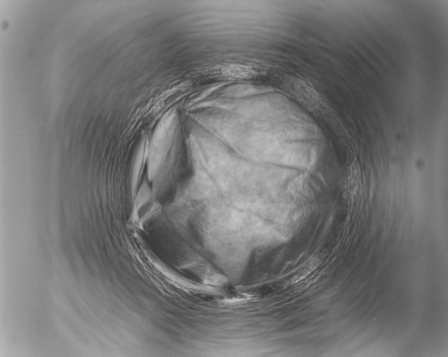 X0000054450360200508270044
