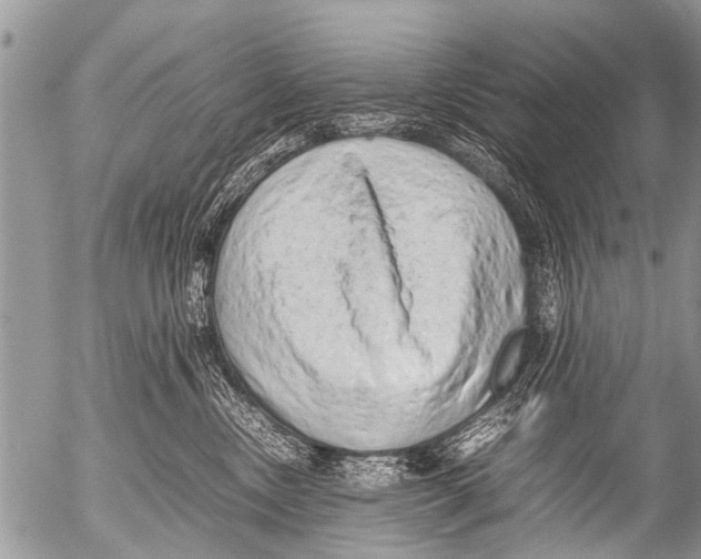 X0000054450378200508270045