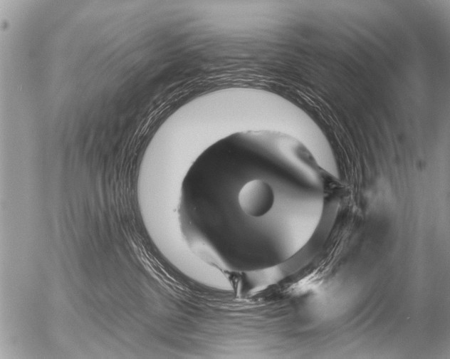 X0000054450380200508270045