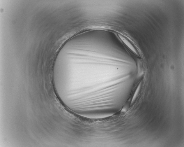 X0000054450385200508270044
