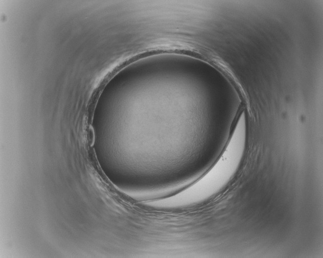X0000054450387200508270044