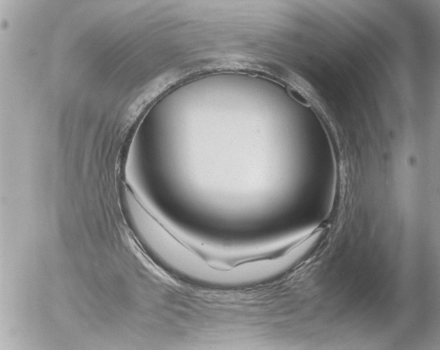 X0000054450389200508270044