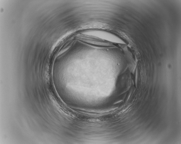 X0000054450392200508270044