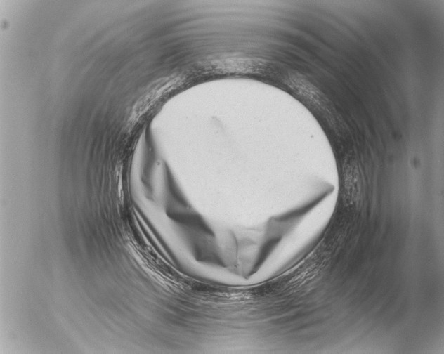 X0000054450398200508270044