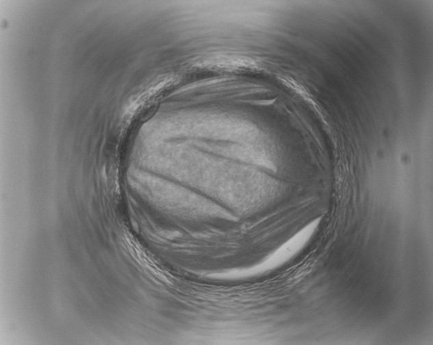 X0000054450399200508270044