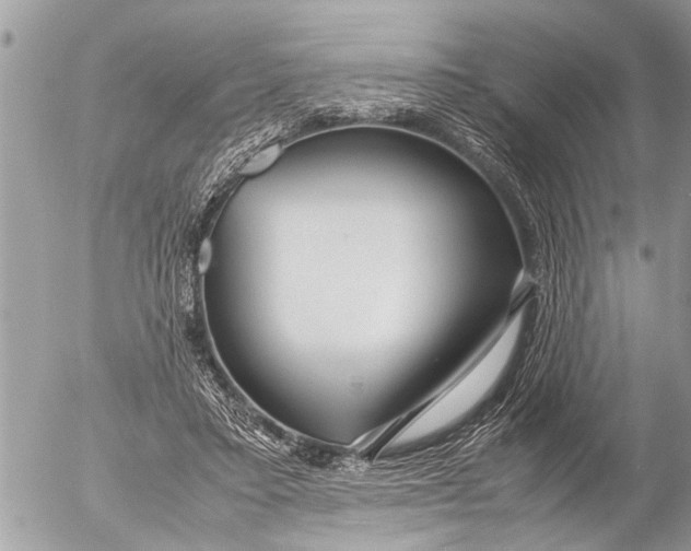 X0000054450403200508270044