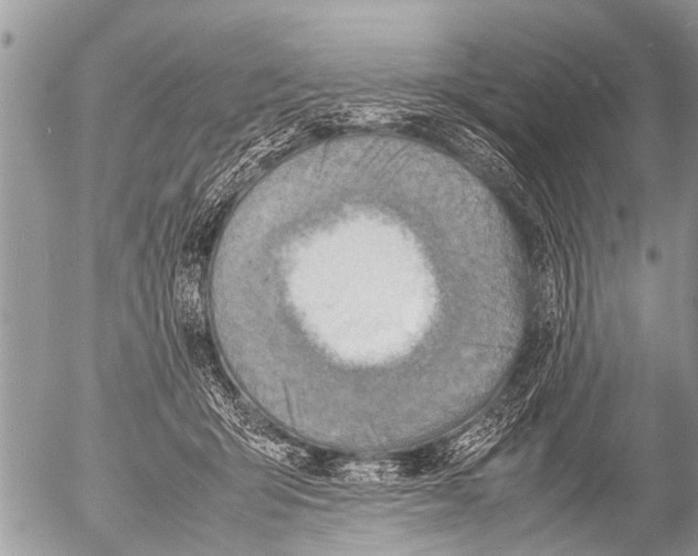 X0000054450415200508270044