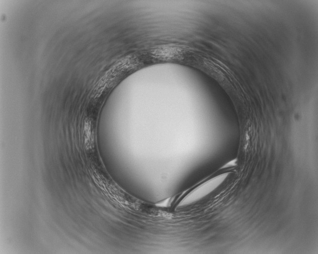 X0000054450420200508270043