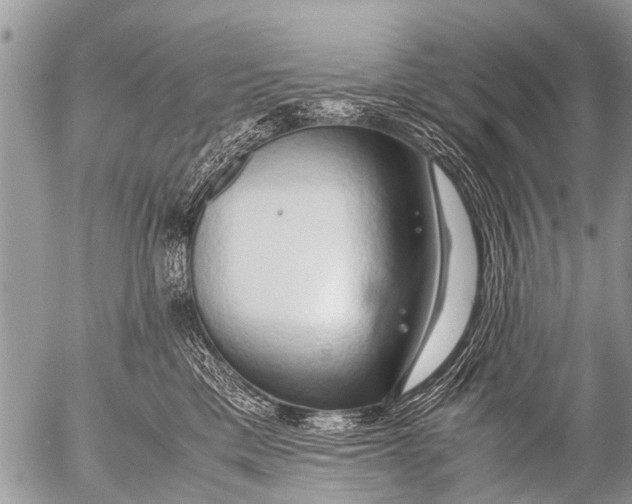 X0000054450425200508270043
